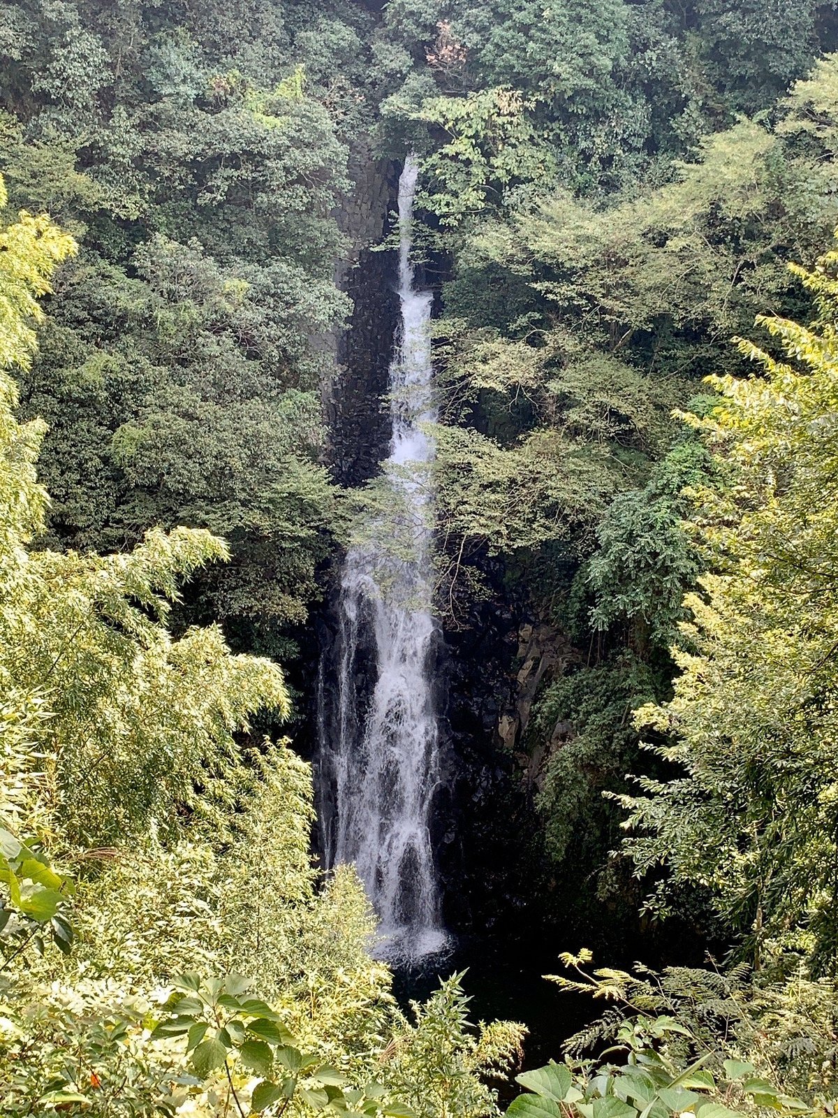 🏞️ 고다 폭포(고다타키) 이미지 6